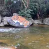 edsonla0