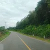 priapunya_selera0