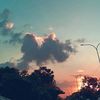 skylight.614