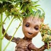 bobs_burgers_420