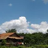 nengdieu569