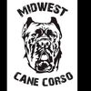 midwest_canecorso