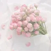 a_lienaa05