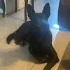 lukathebsd