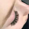 meck_rose86