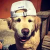 limpbizkit.ilil