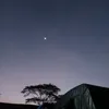 tanjidorus