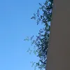 danghuynhnhu7