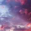 catharsis_59