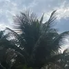 useraleatorio118