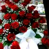 saadia7465369645882