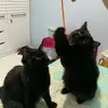 mokuspunch