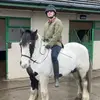 horseoverlord