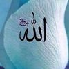 raqia123454