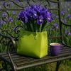 habibaomar584