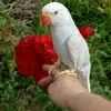 user5011118266205