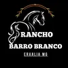 Haras Barro Branco