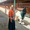 makwahyu5