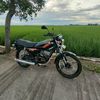 kingrobet_135