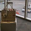 louka_1237