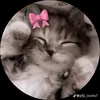 haruki_lyy