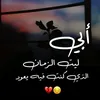lssa._49