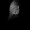 alsarout12