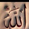 aamirbasher2