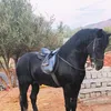 bestblack28