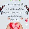 hasansheikh022