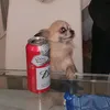 tobyjude8113