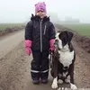 mija.pia