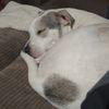 grace_simmons07
