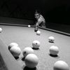 vitalik_991_