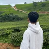lehoangphuc084