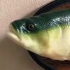 fish_on_a_wall