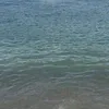 vivinghgg