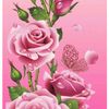 imaa_yankyank