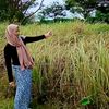 sariimut878