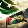 syed_badshah_029