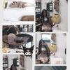 isa_avila09