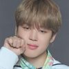 withvmin95
