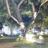 prismarsha