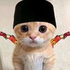 zarrr_190