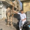 mostafahammad2315