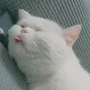 lovabledevil