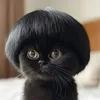 jahnfelixx