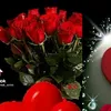 muhamad_hawleri5