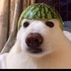 cpbryan_15