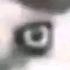 28.zw